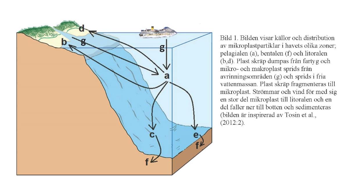 Plast består av olika polymerer och varierar i densitet samt storlek som gör att de både kan flyta eller sjunka vilket innebär att de återfinns i hela vattenområdet (Cole et al., 2011: 2592).