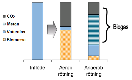 2.6 Biogas Nedbrytningen av organiskt material kan ske antingen i närvaro av syre (aerobt) eller i frånvaro av syre (anaerobt).