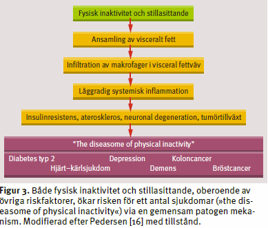 Konsekvenser av fysisk inaktivitet E