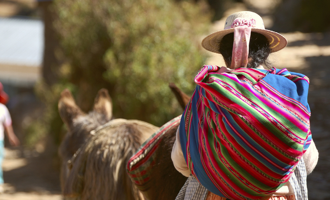 Låt oss ett kort ögonblick sluta ögonen och smaka på följande ord: INKA, MACHO PICHO, CUZCO, INKASTIGEN, AMAZONAS - Världens artrikaste djungel.