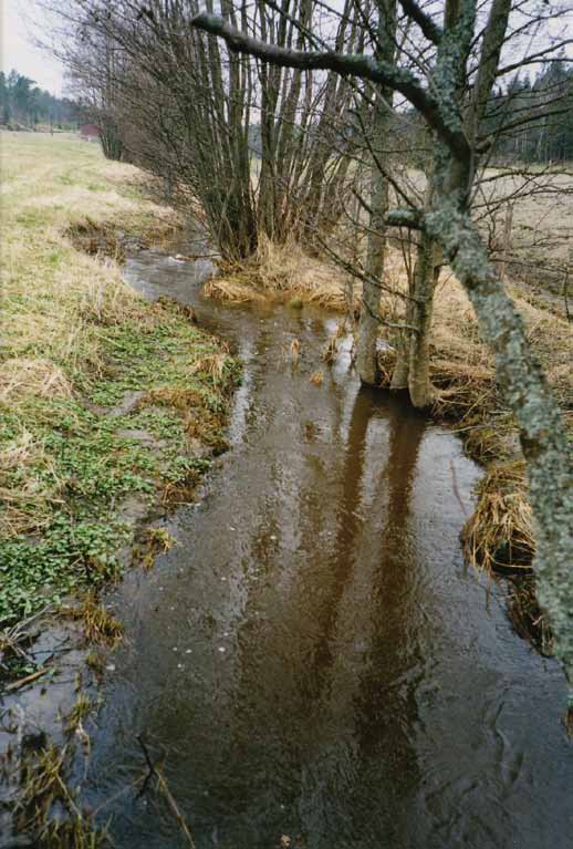 Små kustnära