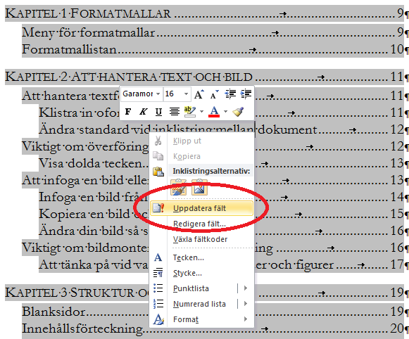 ATT ANVÄNDA ACTA-MALLEN 2013 Innehållsförteckning Det finns redan en färdigformaterad innehållsförteckning i ACTAmallen 2013.