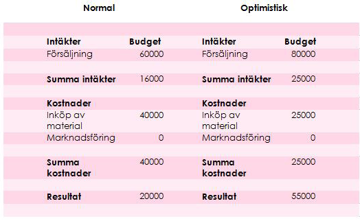 EKONOMI OCH FINANSIERING Vi fick ett start kapital av skolan på 2500 kr som vi sedan betalat tillbaka så fort vi kunde. Vi tror att vi kan tjäna runt 16.000 kr till sista dagen vi har öppet i Juni.