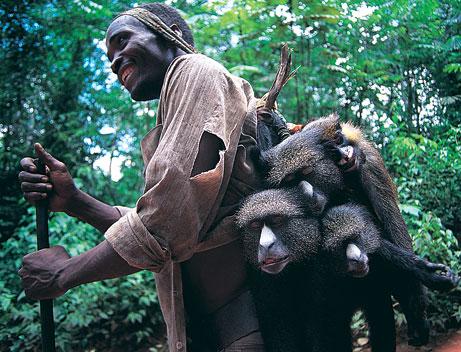 gorilla SIVgor till människa subgrupp P Inget bevis för man made virus Mest