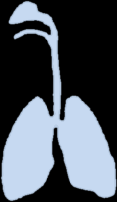 Retande gaser - symptom Laryngospasm Bronkospasm Hosta Blodiga upphostningar