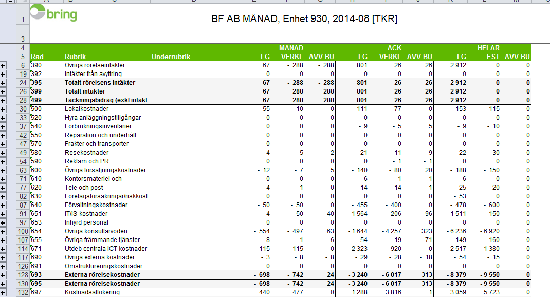 Månadsrapport - excel