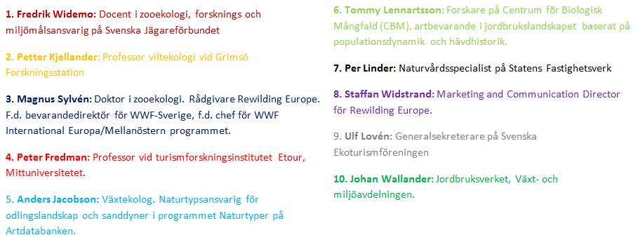 8. Resultat I detta avsnitt presenteras resultatet av datainsamlingen: den genomförda intervjuundersökningen samt litteraturstudien. I figur 7:1 presenteras de sakkunnigas befattning/kunskapsområde.