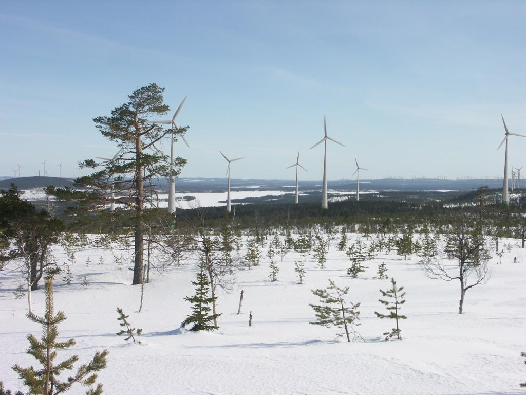 Vy från Hästberget mot