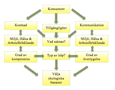 Då vi i vår studie utgått från konsumenterna behövde vi kundorienterade teorier, detta underlättade processen för teoriinsamling då vi direkt kunde utesluta teorier vi ansåg hade fel perspektiv.