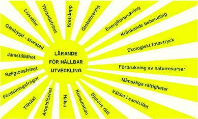 Skolverket (2008) En av rollerna medborgare har i samhället är rollen som konsument.