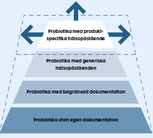 Bolagets produkter Som vi nämnt tidigare bestämde sig Probi på tidigt stadium att dokumentera sina bakteriestammar hälsoegenskaper på ett vetenskapligt vedertaget sätt.