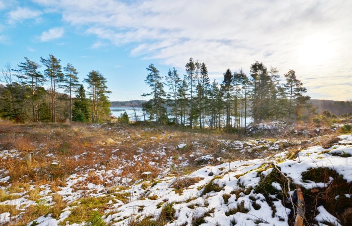 Län Västra Gatuadress Götaland