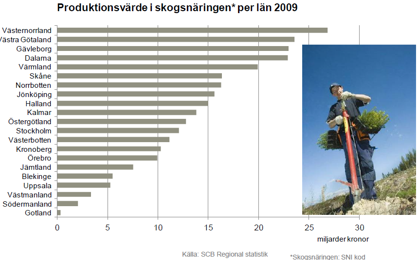 Skogsindustrin skapar välstånd i