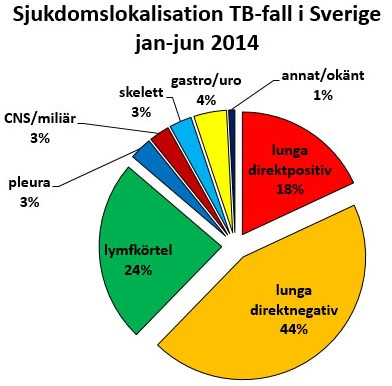 Bild: Folkhälsomyndigheten Bild: Folkhälsomyndigheten Bild: Folkhälsomyndigheten Några riskfaktorer för tuberkulos