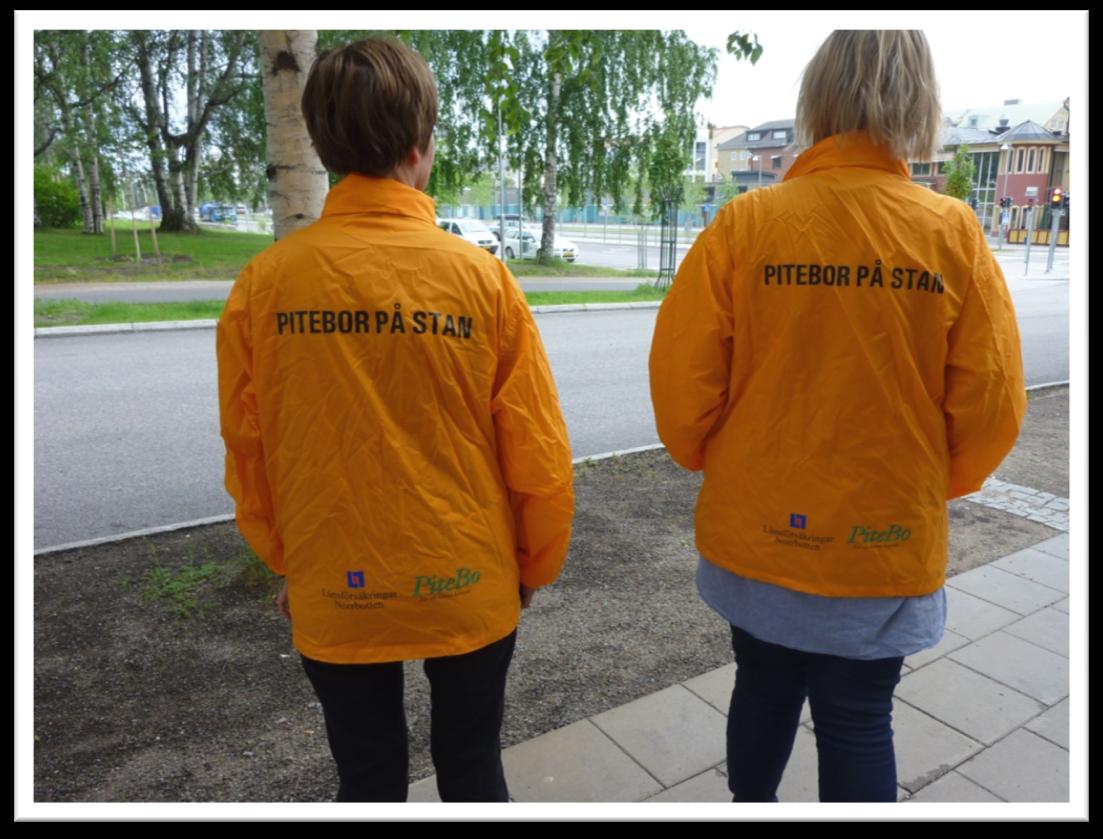Uppföljning av PITEBOR PÅ STAN sommaren 2011 Föreningar