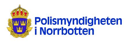 Bilaga 1 Avrapportering från er som vandrat som Pitebor på stan.