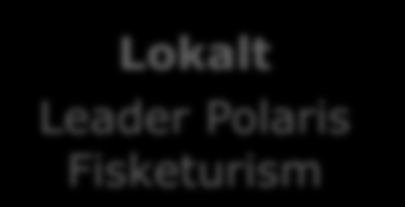 Ansvara för den lokala anknytningen i samarbetet med Nationella turistfiskeprojektet inom Leader Nationella turistfiskeprojektet Lokalt mars 2010 mars 2013 Leader Polaris Fisketurism Svarar för