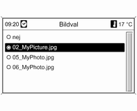 156 Infotainmentsystem Välj den bild som du vill visa på skärmen. Tryck på INFO-knappen flera gånger tills den den valda bilden visas på skärmen.