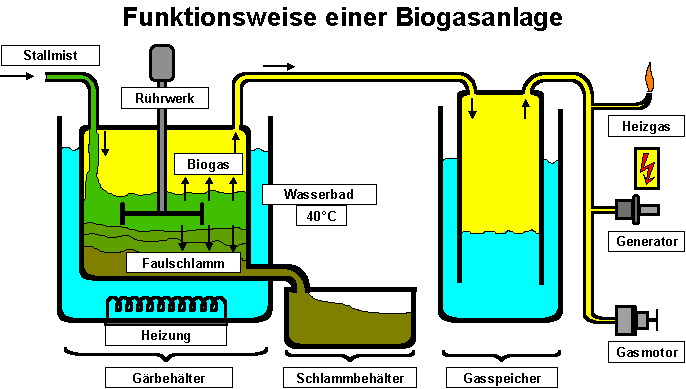 Biogas diskuteras mycket. Slam från avloppsvattenrening och kreatursgödsel (svin, nöt) samt slakteriavfall kan enkelt jäsas anaerobiskt till biogas.