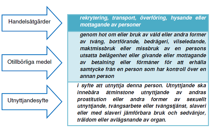 Bilaga 1: 1. Människohandel omfattar antingen rekrytering, transport, hysande eller mottagande av personer 2.