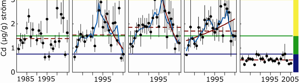 Figur 1. Kadmiumhalten i lever hos strömming i Östersjön ökade kraftigt under 90-talet, men utvecklingen har vänt under senare år. (Källa: Bignert et al.