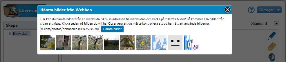 Klistra in bildens adress i rutan bredvid knappen Hämta bilder. Detta kan du göra genom att klicka en gång med höger musknapp i rutan och sedan välja klistra in.