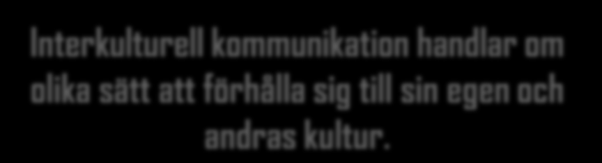 Har medvetenhet om sig själv som kulturbärare och kulturskapare Har förmåga att se den andres