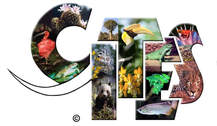 CITES - the Convention on International Trade in