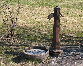 Allmänna regler, lokala föreskrifter och annat bra att veta vad som finns bakom häcken. Ett djur kan plötsligt komma utspringande från en häck.