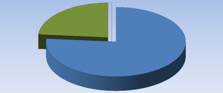 4 Fastighetslån, tkr 2 Taxeringsvärde, tkr 6,% 5,% 4,% 3,% 2,% 1,%,% 214-12-31 213-12-31 5,22% 33,48% 214-12-31 213-12-31