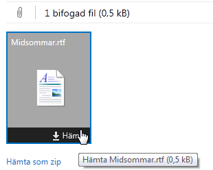 Ta bort bifogade filer Om du upptäcker att du valt att bifoga fel fil, pekar du på ikonen för den bifogade filen och klickar på krysset. Då tas den bort från brevet (den stannar kvar i datorn).