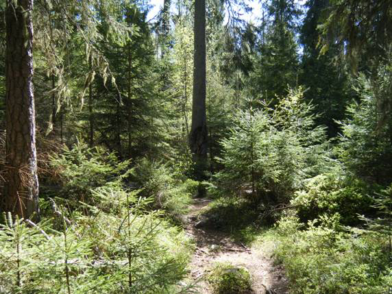 Uppländskt sprickdalslandskap med flacka dalbottnar, sprickdalssjöar och låga beskogade bergknallar. Vi finner också skogar som ger en känsla av orördhet.