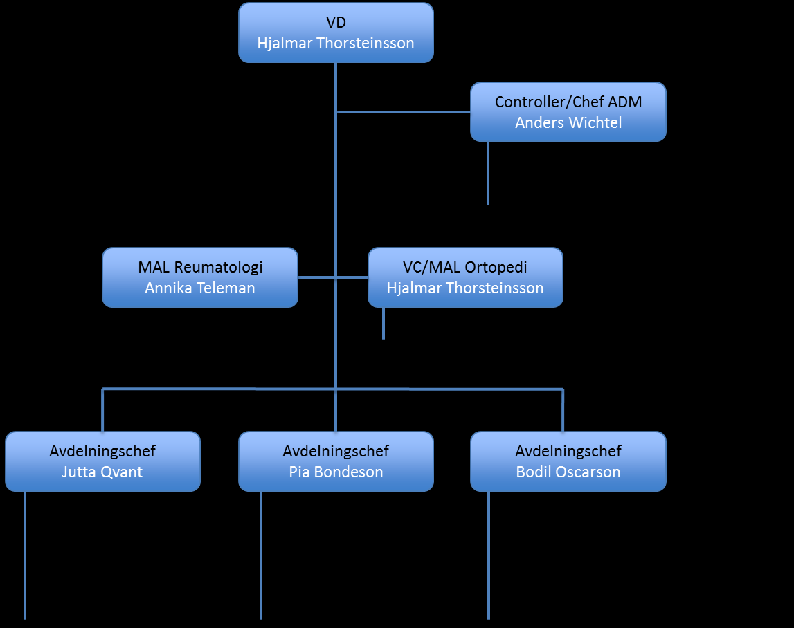 Organisation Sjukhusets ledning i form av ledningsgruppen, som består av VD/verksamhetschef, avdelningschefer, ekonomichef och kvalitets- och miljöchef har i egenskap av vårdgivare det övergripande