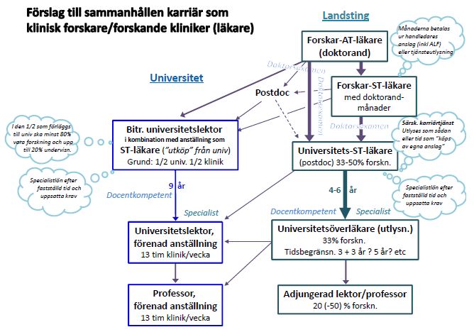 8 Exempel från Umeå på de båda armarna i en parallell karriärväg som forskande kliniker (läkare).