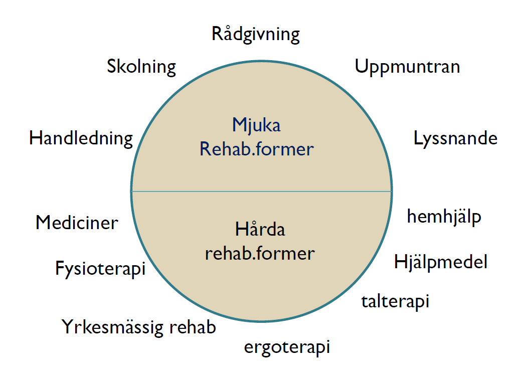 deltar patienten, anhöriga, hemserviceledaren, egenvårdaren, hemsjukvårdsrepresentant och eventuellt även äldrerådgivare, psykskötare, fysioterapeut och ergoterapeut.