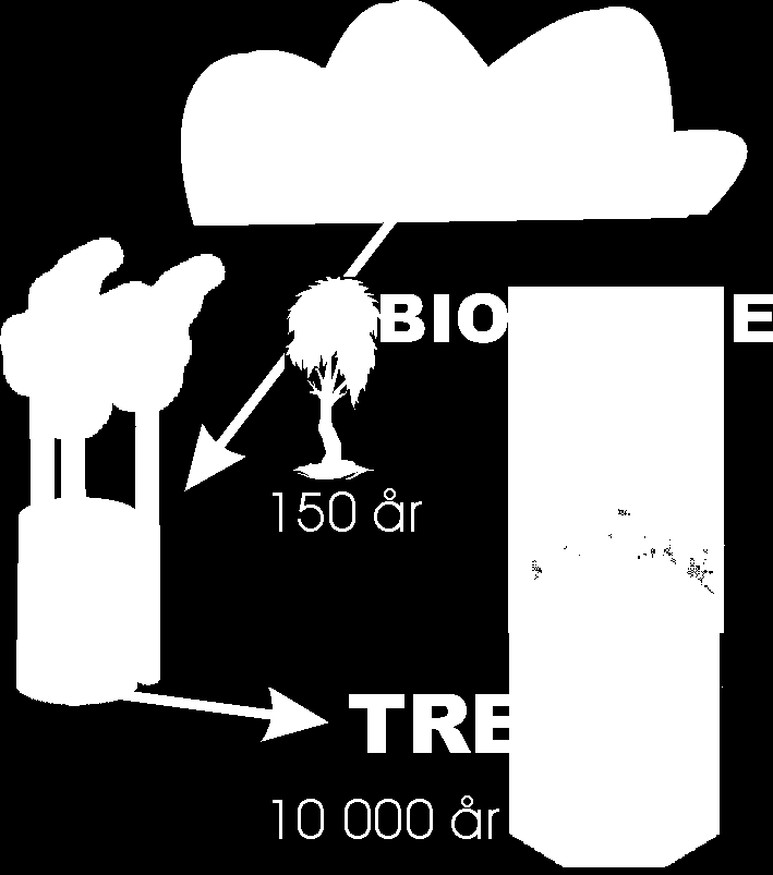 Biobränslen som bränns till aska utarmar marken!