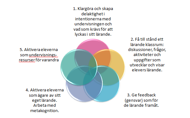 7. Bilagor 7.1 Fem nyckelstrategier för bedömning av kunskap för lärande och undervisning 1.