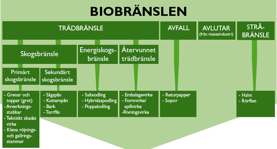 Trädbränsle kan delas upp i återvunnet trädbränsle, energiskogsbränsle och skogsbränsle. Återvunnet trädbränsle utgörs exempelvis av rivningsvirke och gammalt emballagevirke.