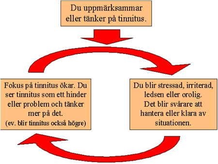 vid tinnitus Minska/hantera följdbesvär som tinnitus kan medföra Hitta sätt att förhålla sig till tinnitus som minskar negativa följdreaktioner/cirklar vid tinnitus Minska/hantera följdbesvär som