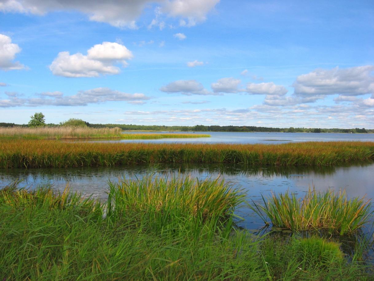 Eskilstunaåns