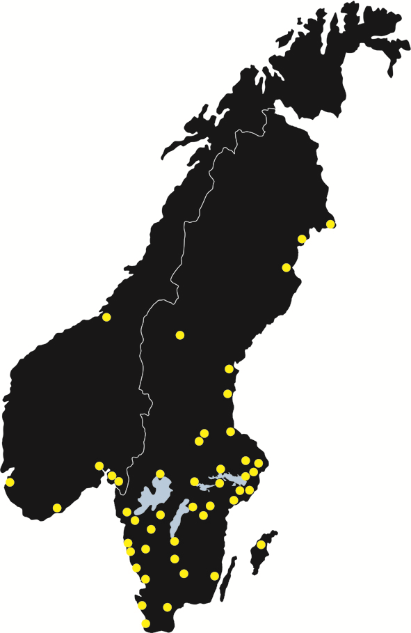 Swedol 2012 Omsättning 1 366 Mkr Rörelsemarginal 4,0%