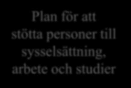 Målen säkrar bred framgång Bästa tillgängliga kunskap inom området Kunna ge den enskilde ett heltäckande och sammanhållet stöd Plan för att stötta personer till