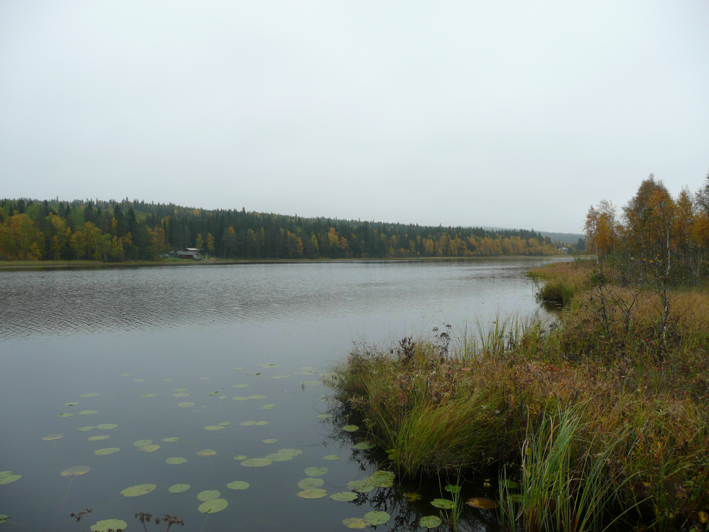 11 hektar inägomark. Strand mot Smedbyfjärden.