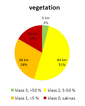 Hela 68 % av den totala karterade sträckan har ett rakt lopp (figur 2). Endast en stäcka har bedömts ha meandrande lopp, och denna finns i Vekaån.