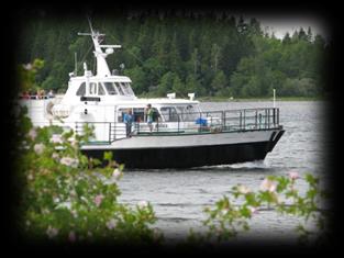 Limön är en idyllisk sommarö i Gävles skärgård. Här finner du det gamla fiskeläget, hamnen med gamla sjöbodar och bryggor.