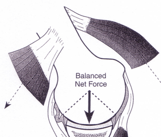 symtom External Subacromial Internal Posterior-Superior Primärt rt strukturellt orsakad > 35 år.