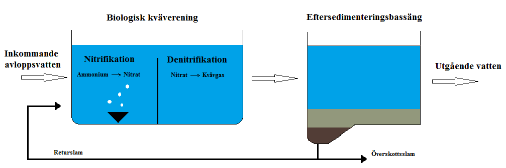 mesta av det inkommande kvävet är ammonium (NH 4 ). Ammonium omvandlas sedan av mikroorganismerna till kvävgas (N 2 ) genom nitrifikation och denitrifikation. Figur 1.