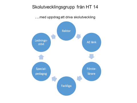 Inför läsåret bildade rektor en skolutvecklingsgrupp som förutom rektor består av tre förstelärare, tre AE-länkar, en speciallärare (anställd av skolan).