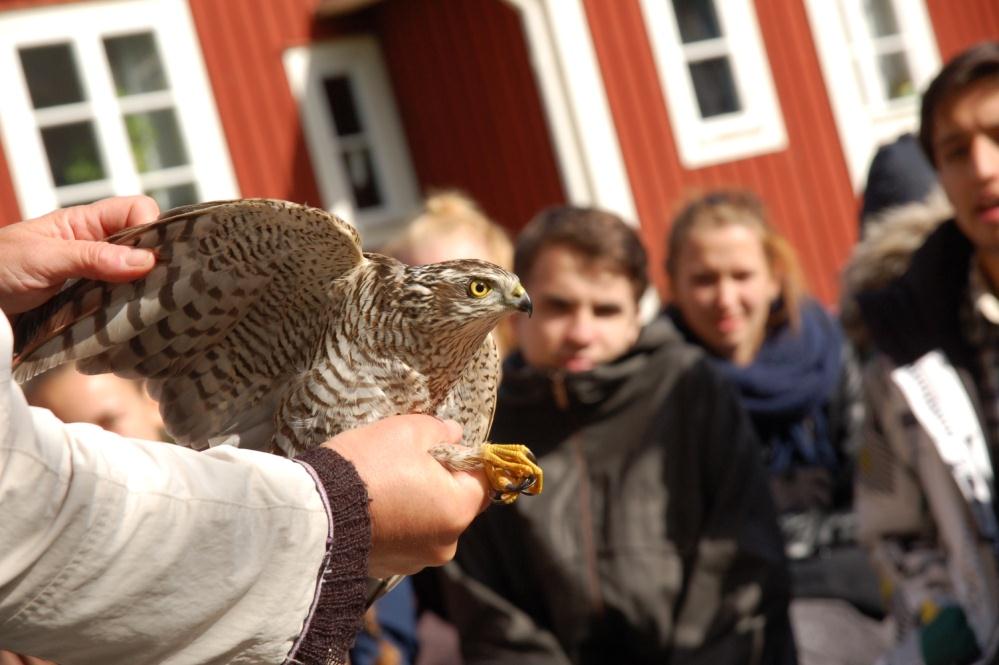 Programgemensamma karaktärsämnen 450 p o Biologi 1 o