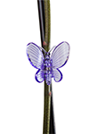 Orchid Pot - Orkidékrukor Orchid Pot bidrar till friska rötter genom att filtrera ljus till rotsystemet vilket simulerar dess naturliga växtförutsättningar Storlek: 9 cm, 12 cm, 13 cm, 15 cm, 17 cm,